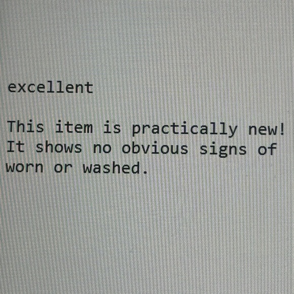 Carhartt Blue Flat Front Shorts with Tailored Fit 42x10 - Picture 10 of 10